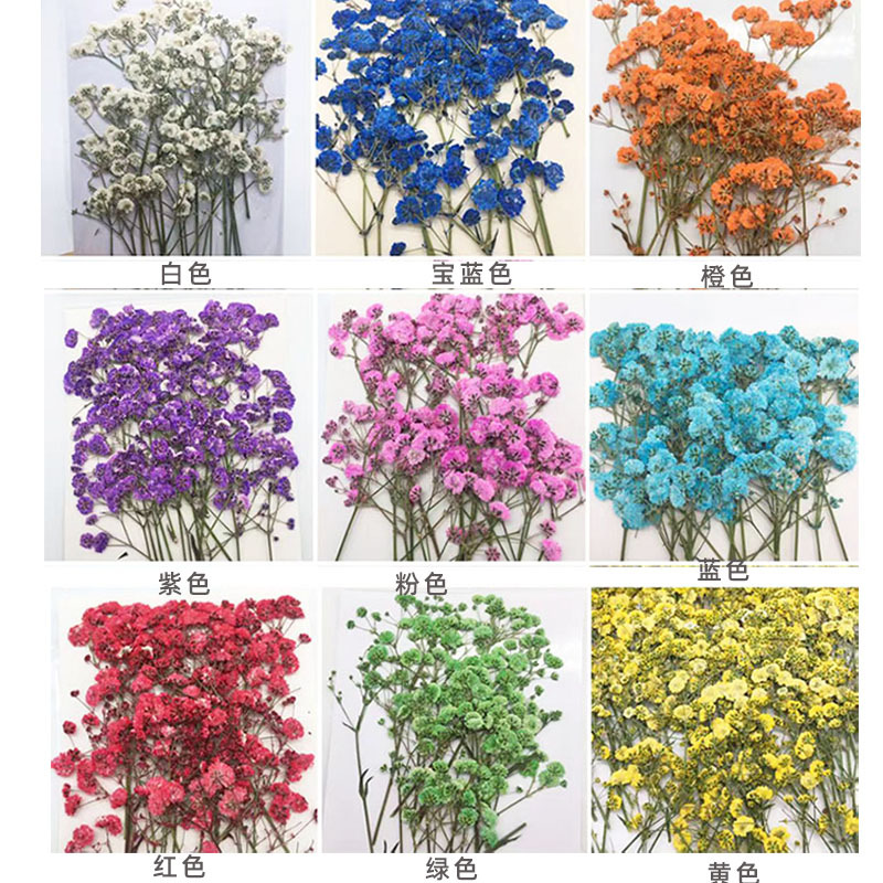 Dried Flower Bookmark - 100 Pieces of Baby's Breath Plant