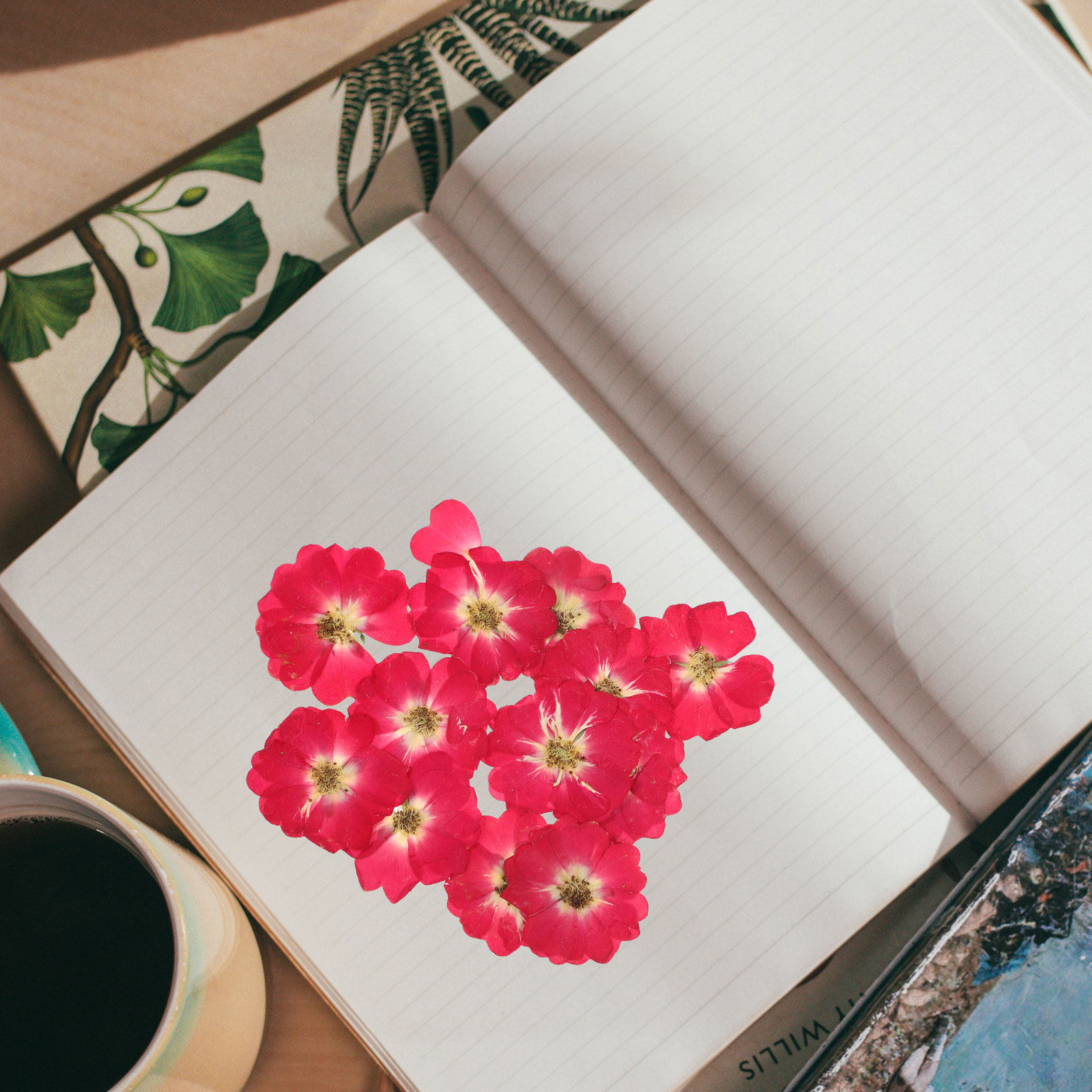 Pressed Flower Art - 12Pcs Natural Dried Rose Pressed Flowers