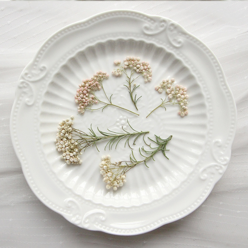 Dried Flower Bookmark - 12pcs,Nature Millet flower branches,pressed dried flower