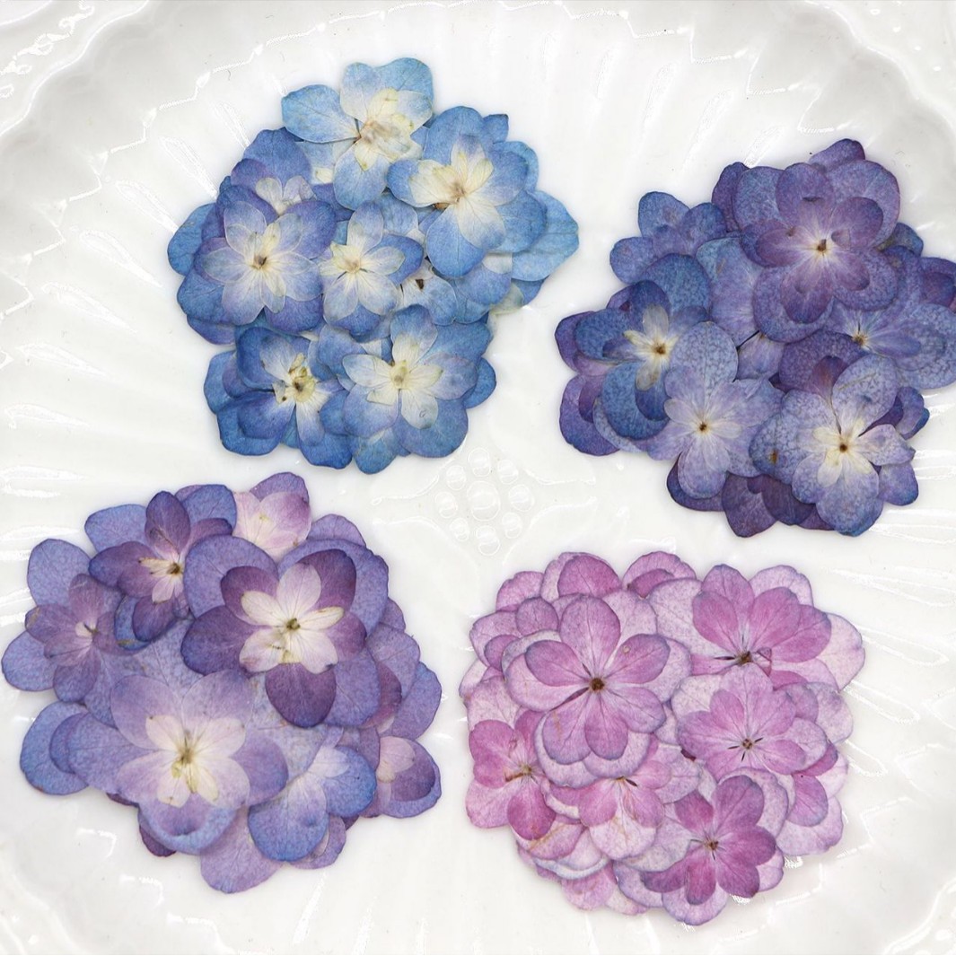 Dried Flower Bookmark - 60Pcs Mini Double-Flowered Hydrangea Dried Flowers