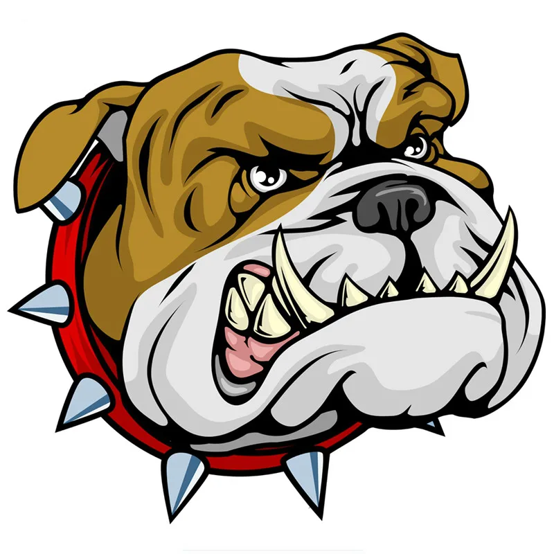 New Design Hot Sell Super Angr - Pet Portrait Custom recension och pris