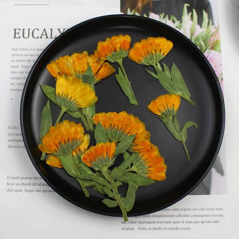 60pcs 4-6cm Side Pressed Dried - Dried Flower Bookmark recension och pris