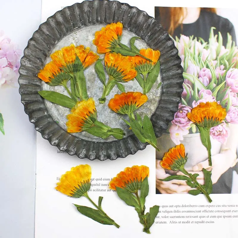 60pcs 4-6cm Side Pressed Dried - Dried Flower Bookmark recension och pris