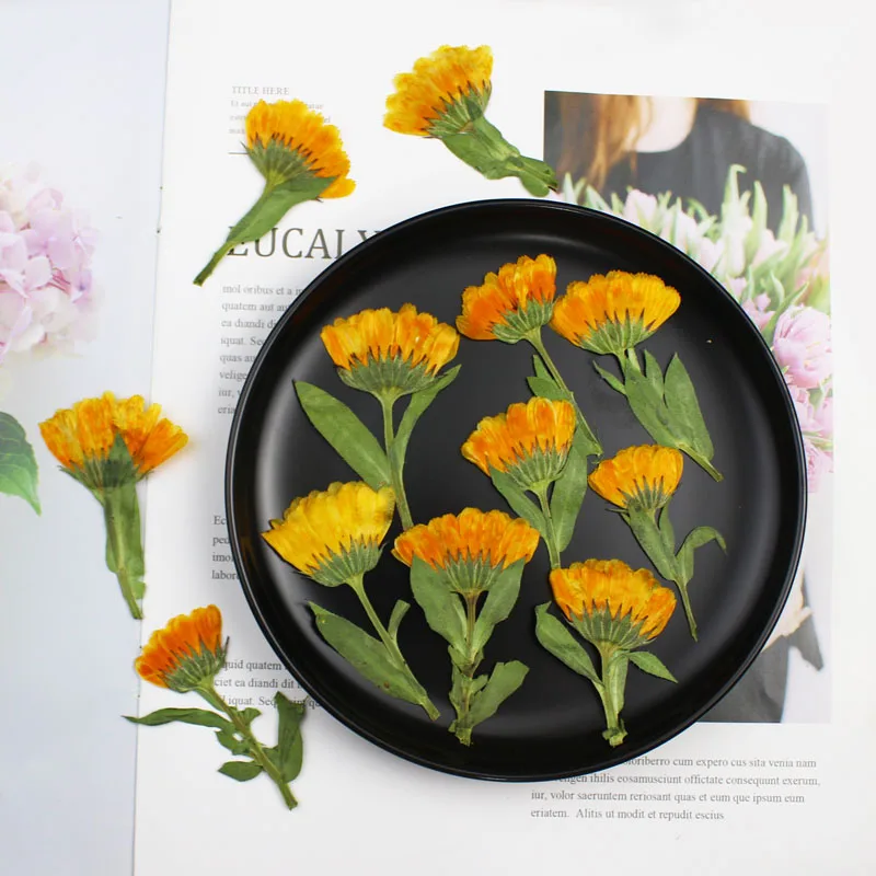 60pcs 4-6cm Side Pressed Dried - Dried Flower Bookmark recension och pris