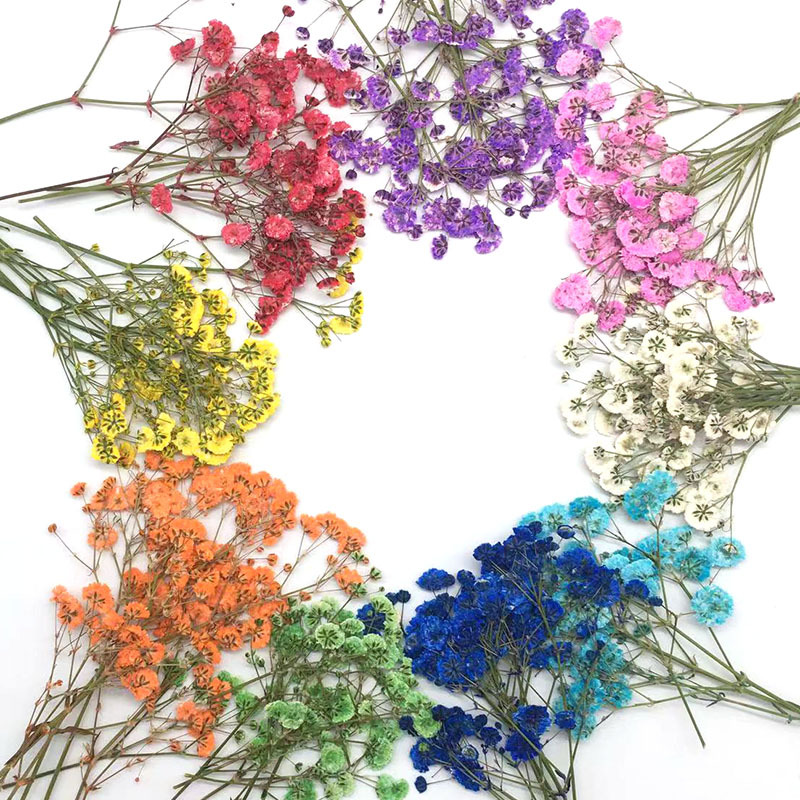 100 Pieces of Baby's Breath Pl - Dried Flower Bookmark recension och pris