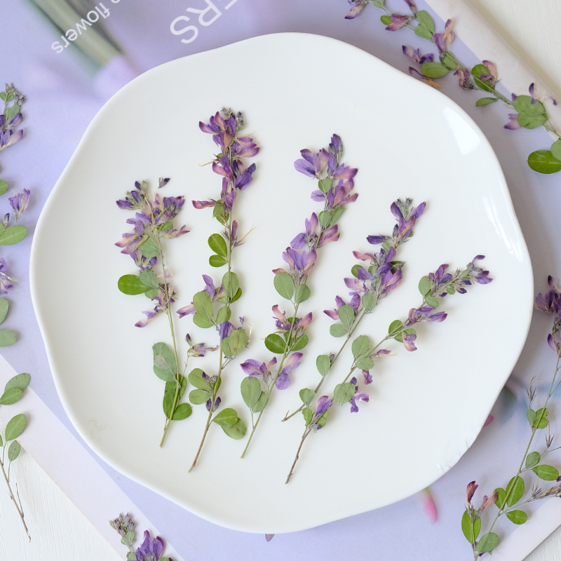 6pcs,nature Lespedeza Formosa  - Dried Flower Bookmark recension och pris