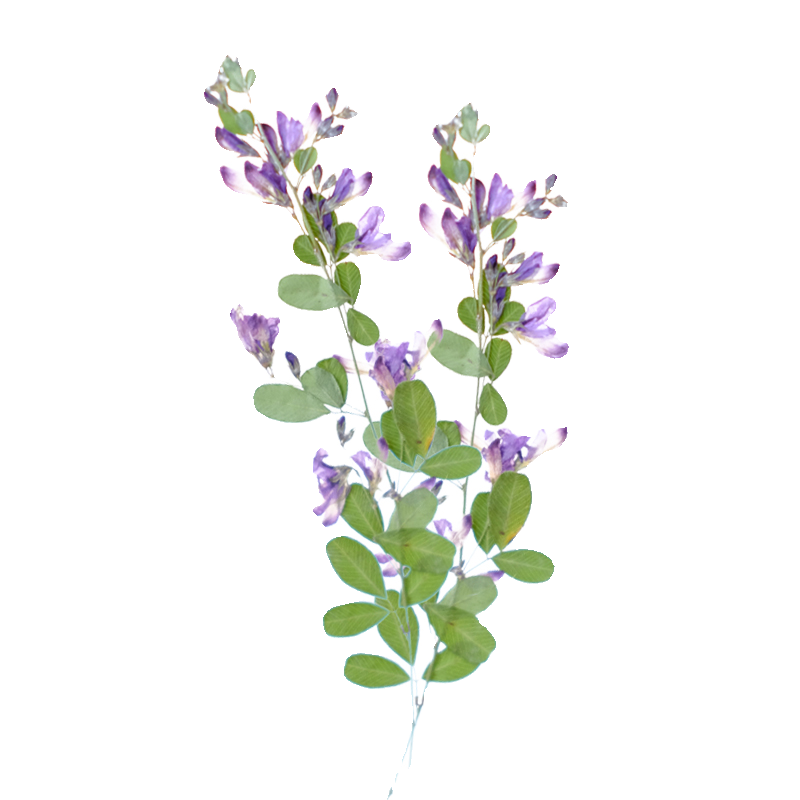 6pcs,nature Lespedeza Formosa  - Dried Flower Bookmark recension och pris