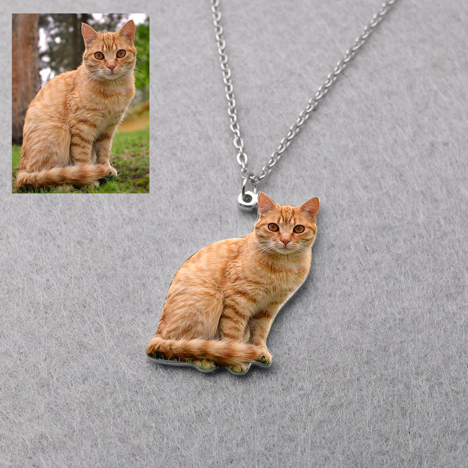 Personalized Pet Picture Neckl - Pet Portrait Custom recension och pris