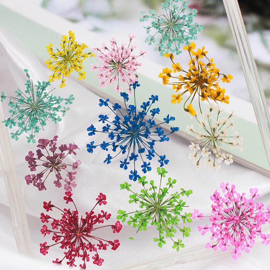 60pcs Pressed Dried 15-20mm Am - Dried Flower Bookmark recension och pris