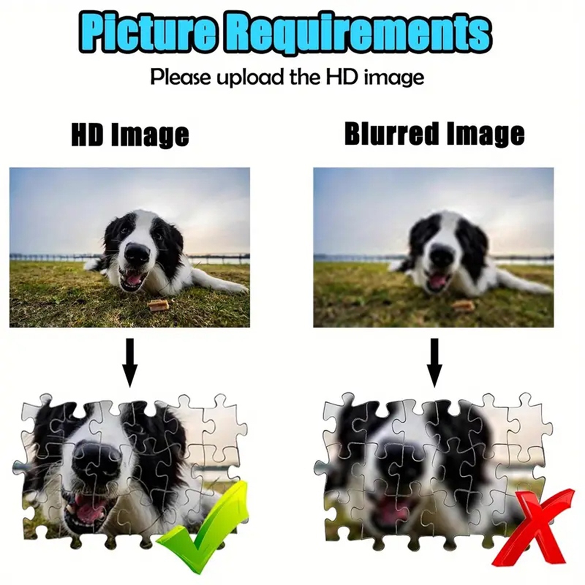 35/300/500/1000pcs Personalize - Pet Portrait Custom recension och pris