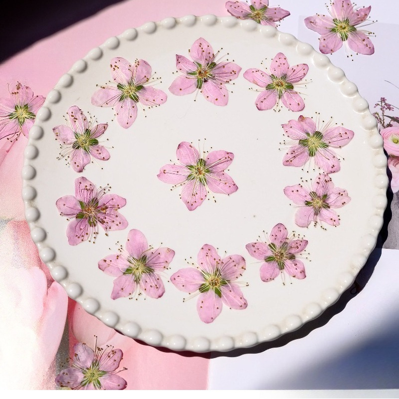 3-4cm./6pcs,Pink Peach Blossom - Dried Flower Bookmark recension och pris