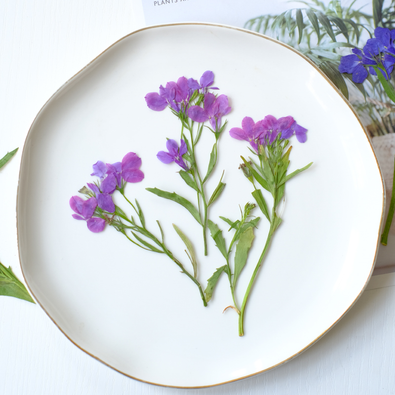 6pcs/8-13cm,nature Lobelia Eri - Dried Flower Bookmark recension och pris