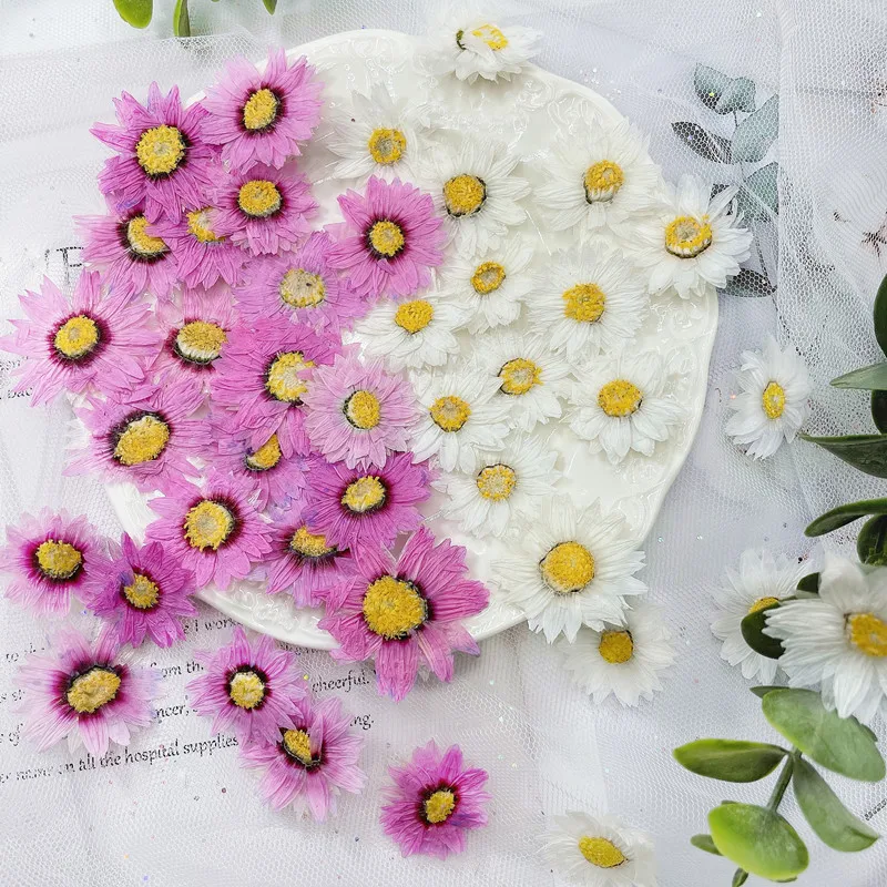 24pcs/2-4CM,Natural Pressed Fl - Dried Flower Bookmark recension och pris