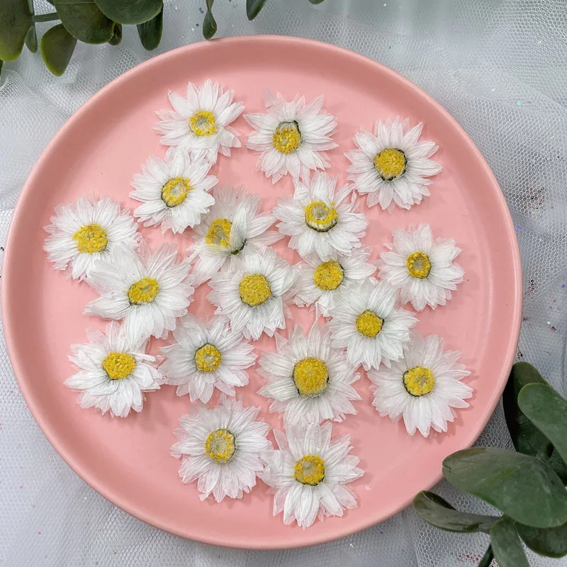 24pcs/2-4CM,Natural Pressed Fl - Dried Flower Bookmark recension och pris