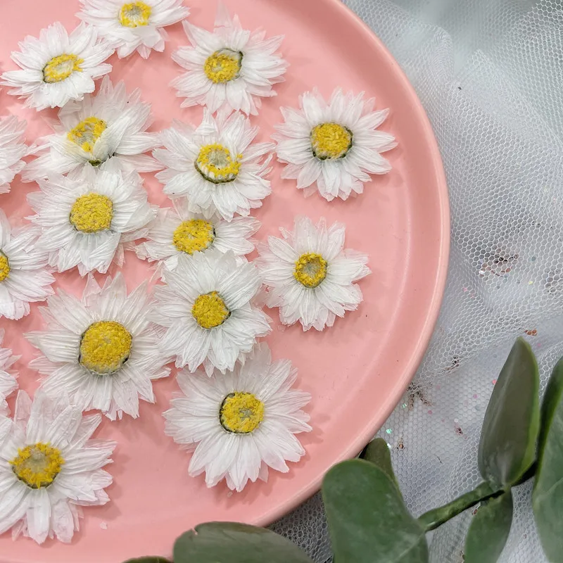 24pcs/2-4CM,Natural Pressed Fl - Dried Flower Bookmark recension och pris