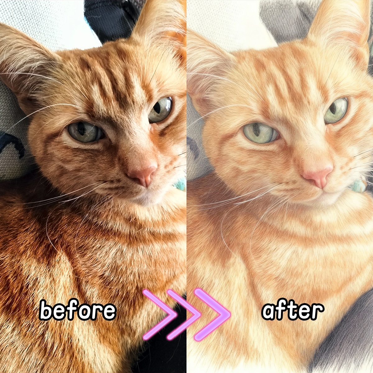 Personalized Custom Colored Pe - Pet Portrait Custom recension och pris
