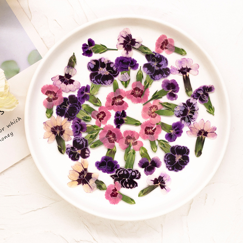24pcs,Pressed Dried Dianthus F - Dried Flower Bookmark recension och pris