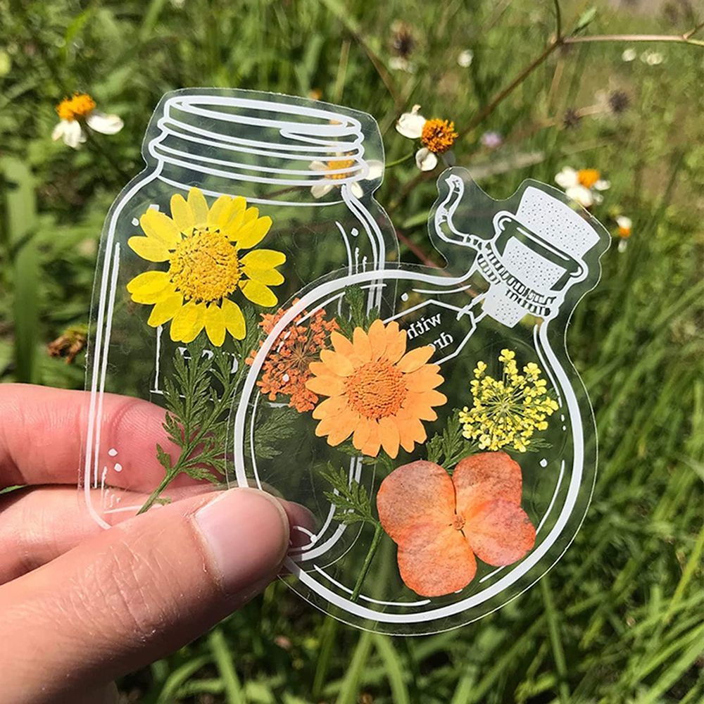 30Pcs Transparent Dried Flower - Dried Flower Bookmark recension och pris