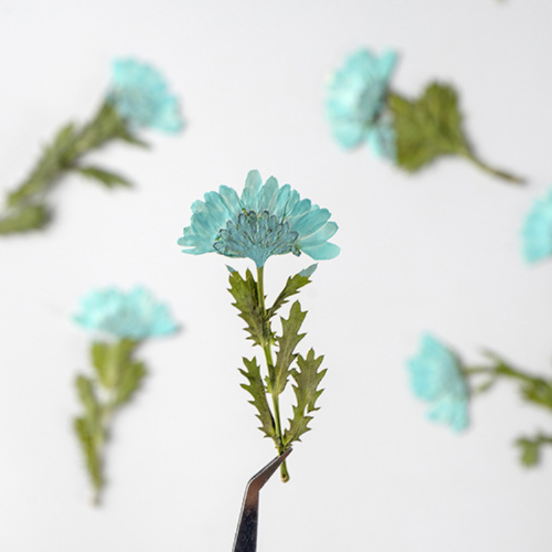 5-8cm/24pcs,Side pressed cryst - Dried Flower Bookmark recension och pris